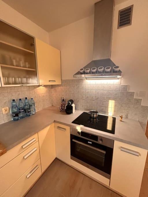 Apartamento Przestronny *